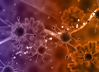 Virus cells