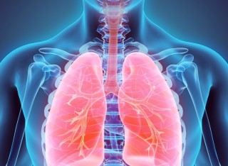 Lung image